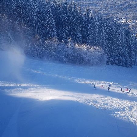 Les Frahans Samoëns Εξωτερικό φωτογραφία