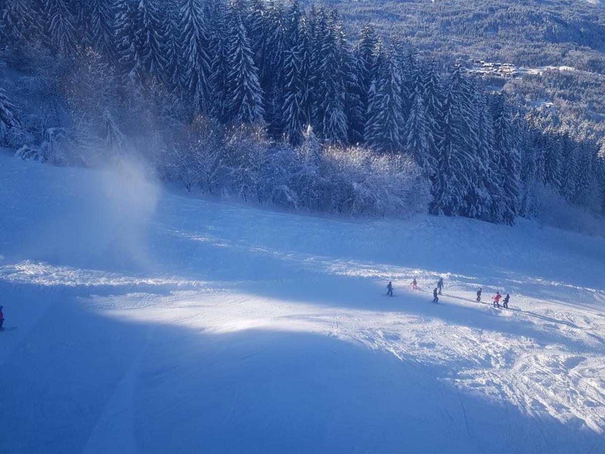 Les Frahans Samoëns Εξωτερικό φωτογραφία